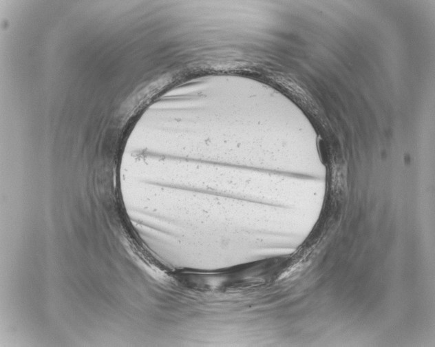 X0000059090397200511041853