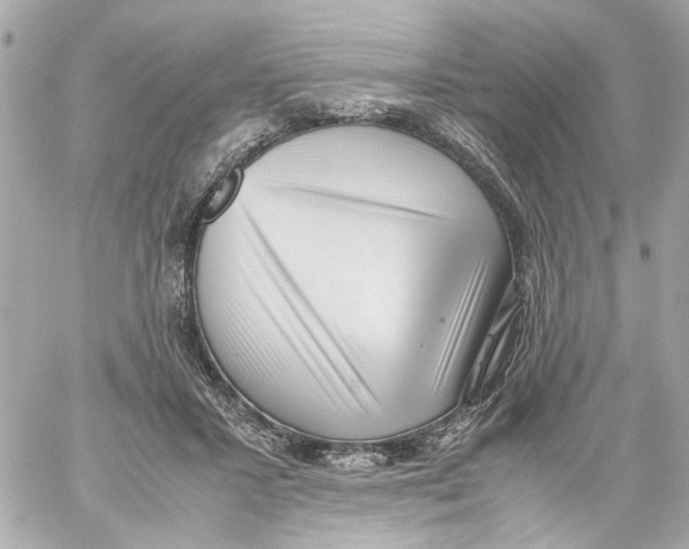X0000059090407200511041852