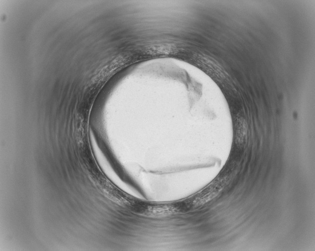 X0000059090414200511041852