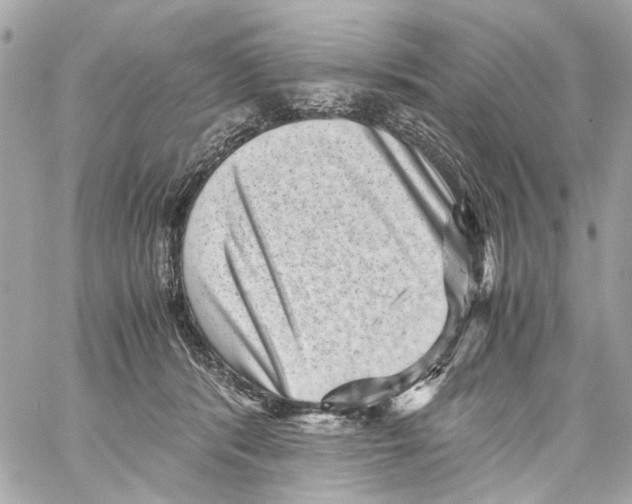 X0000059090416200511041852
