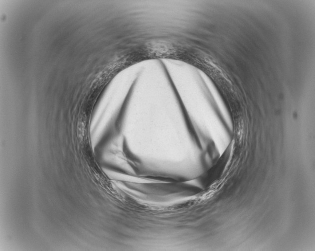 X0000059090417200511041852