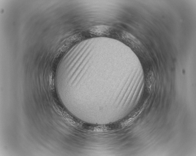 X0000059090420200511041852