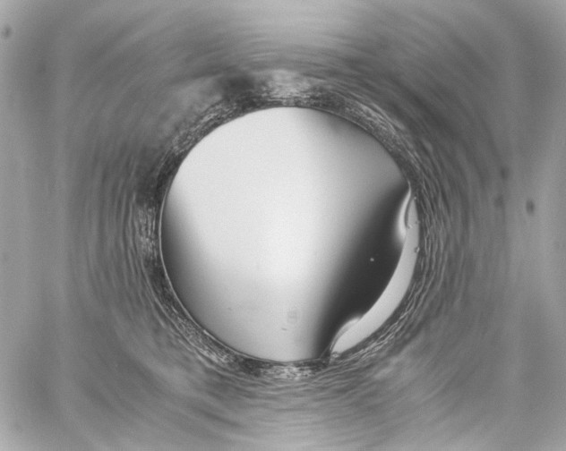 X0000059090421200511041852