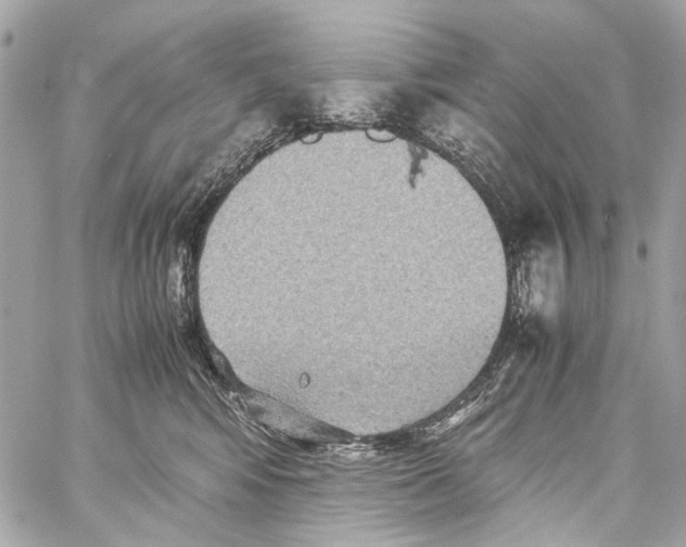 X0000059090424200511041852