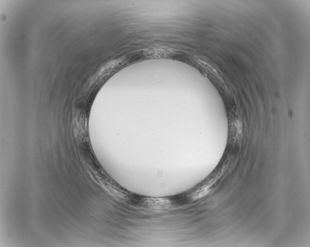 X0000059090429200511041852