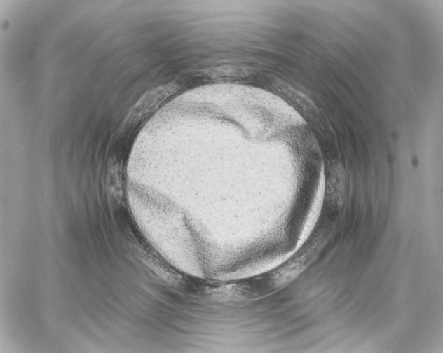 X0000059090430200511041852