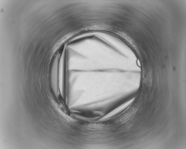 X0000059090437200511041851