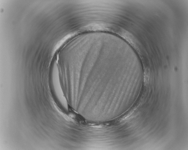 X0000059090438200511041851