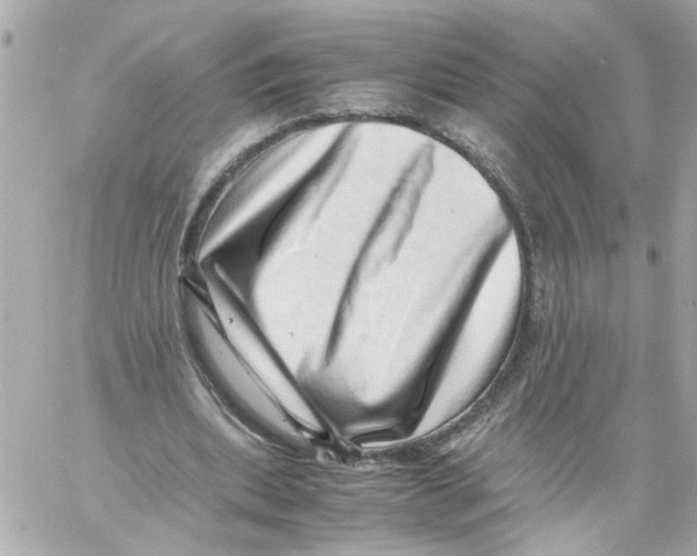 X0000059090439200511041851