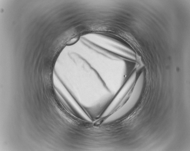 X0000059090441200511041851
