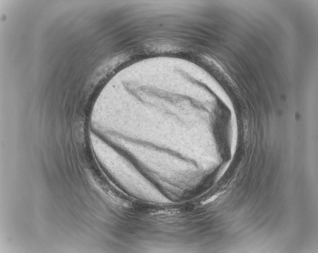X0000059090447200511041851