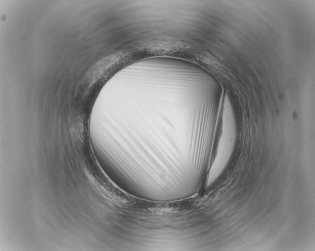 X0000059090448200511041851