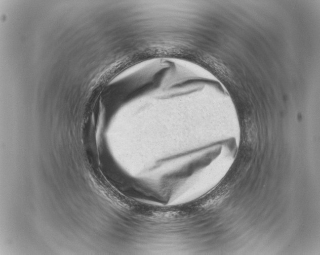 X0000059090450200511041852