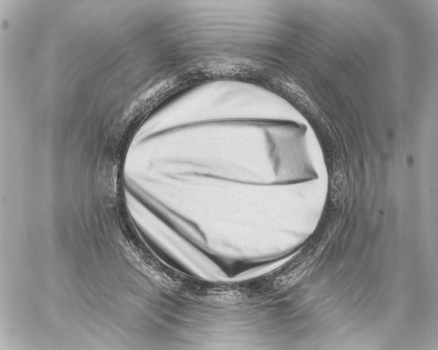 X0000059090454200511041852