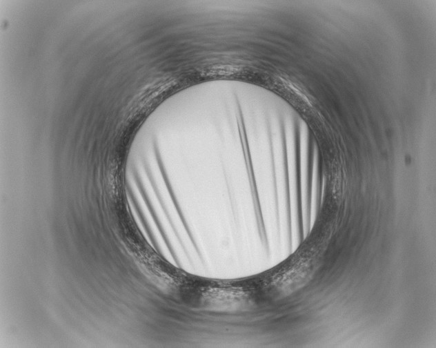 X0000059090455200511041852