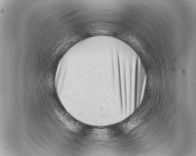 X0000059090457200511041852