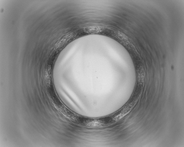 X0000059090460200511041852