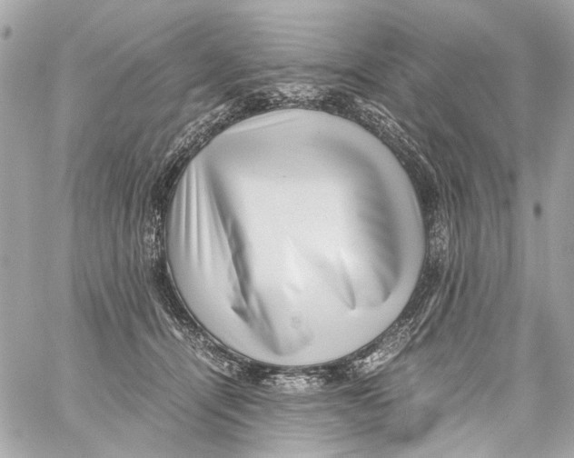 X0000059090464200511041852