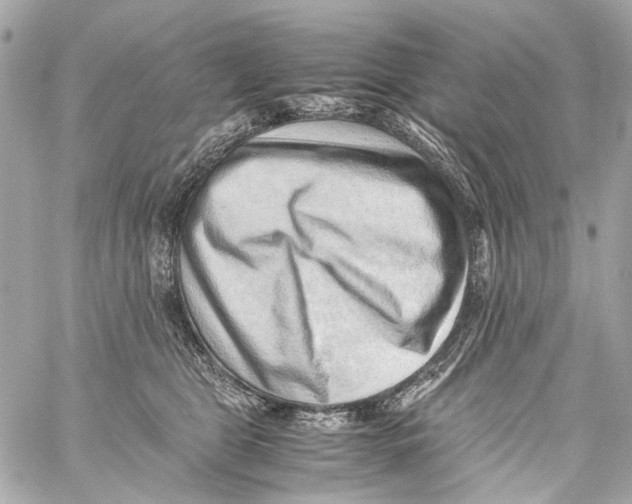 X0000059090469200511041852