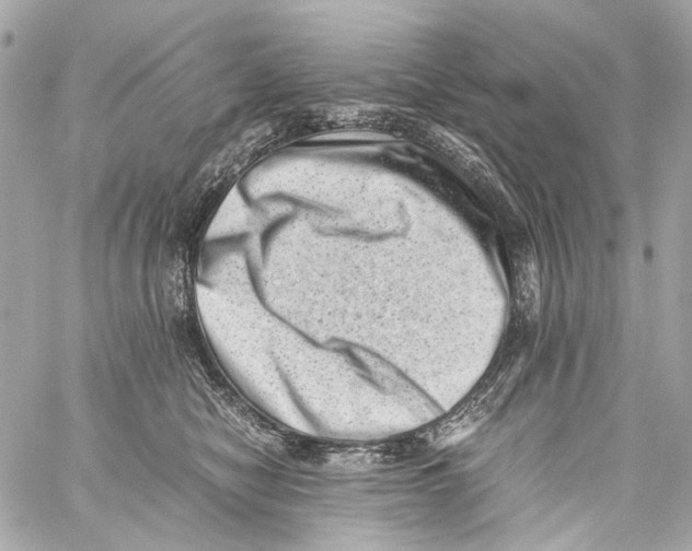 X0000059090470200511041852