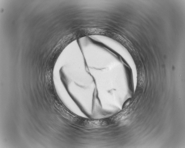 X0000059090473200511041852