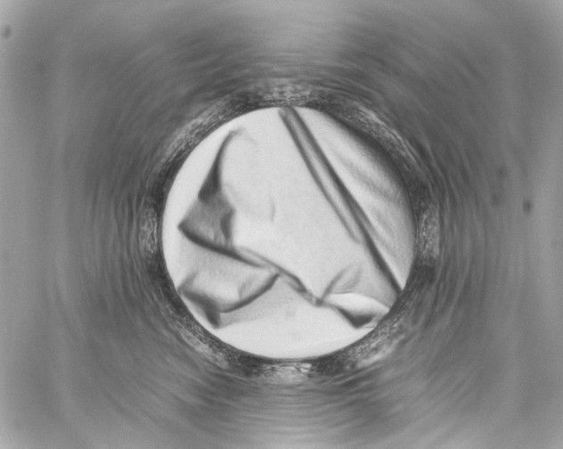 X0000059090474200511041852