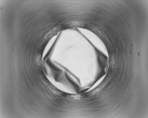 X0000059090478200511041852
