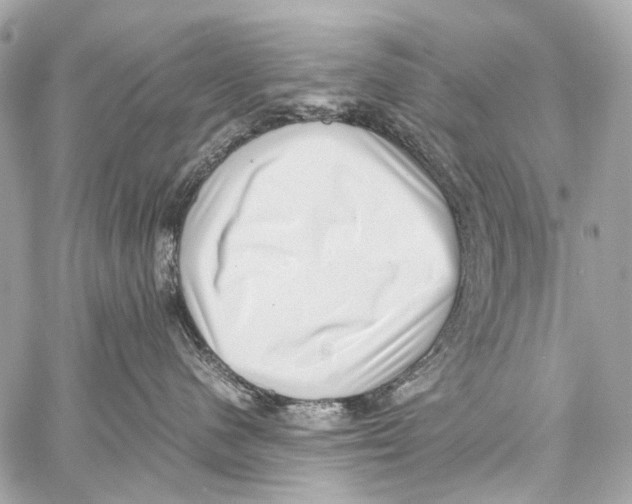 X0000059090480200511041852
