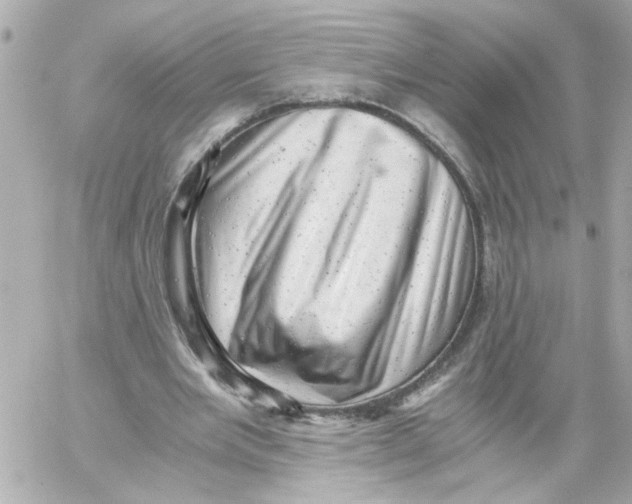 X0000059090485200511041851