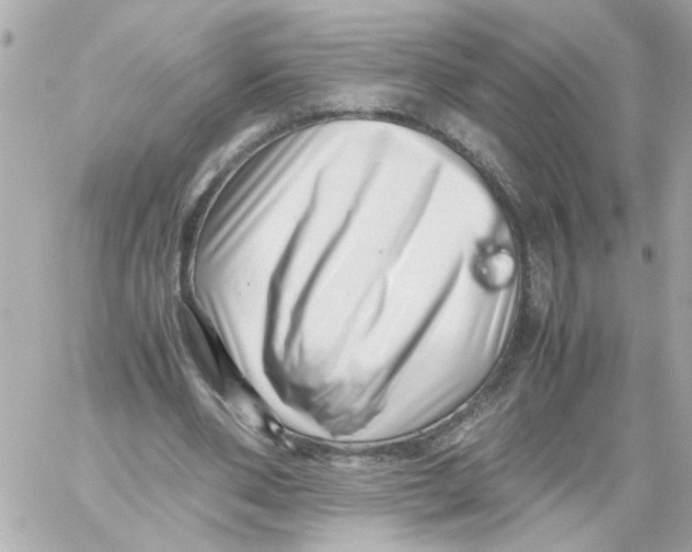 X0000059090486200511041851