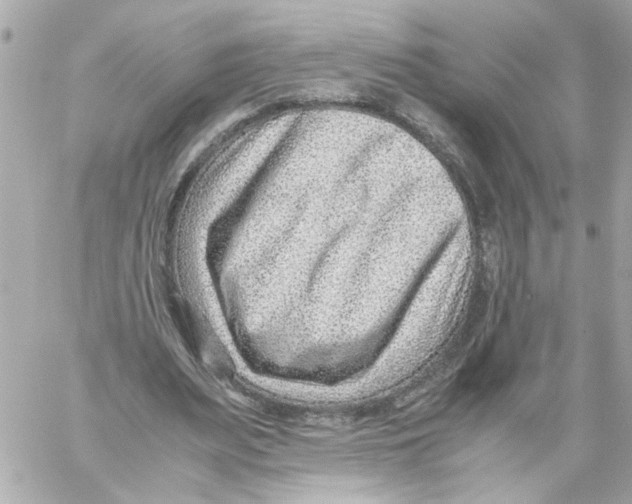 X0000059090487200511041851