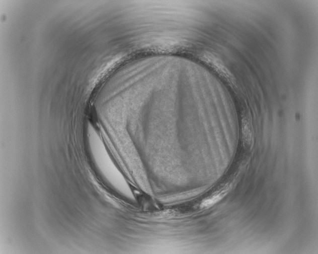 X0000059090493200511041851