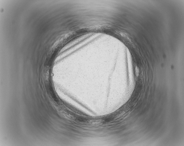 X0000059090495200511041851