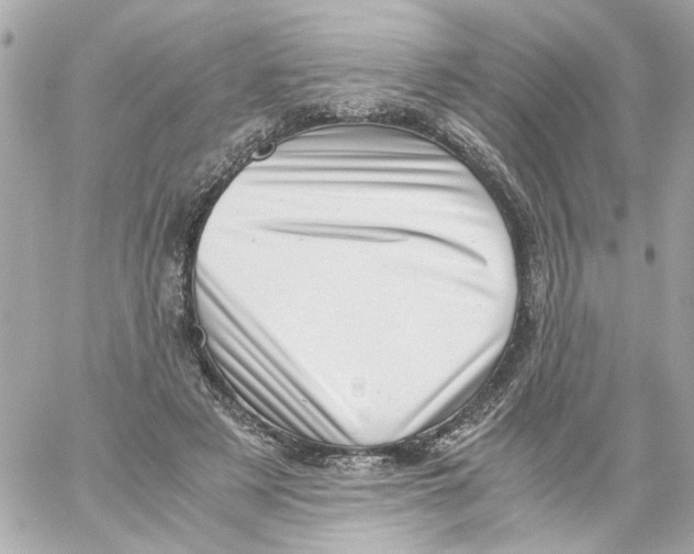 X0000059090497200511041851