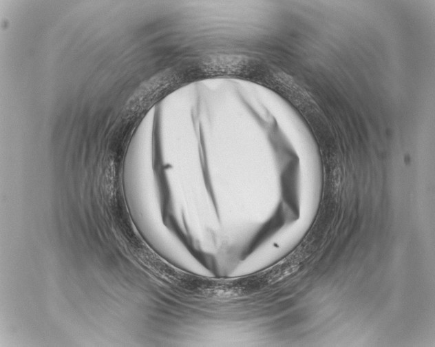 X0000059090498200511041851