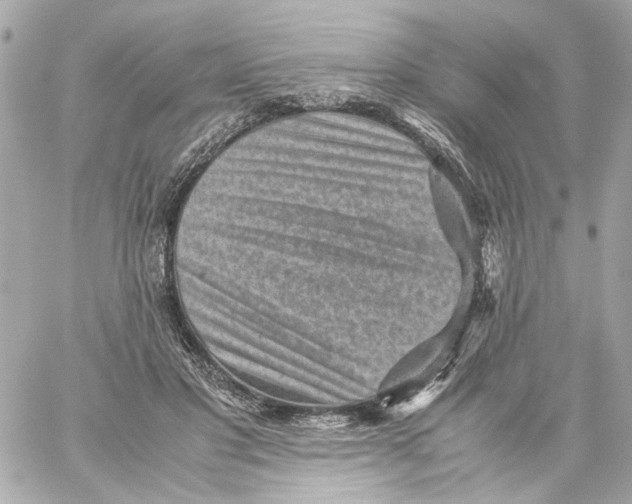 X0000059090501200511041851