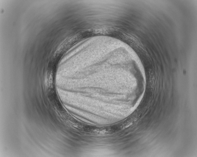 X0000059090502200511041851