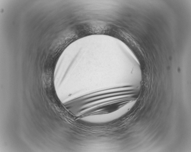 X0000059090505200511041851