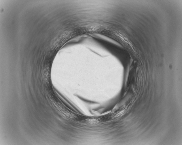 X0000059090509200511041851
