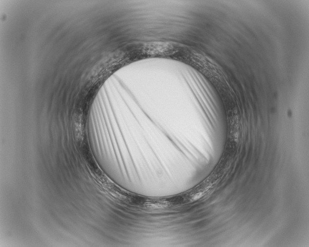 X0000059090510200511041851