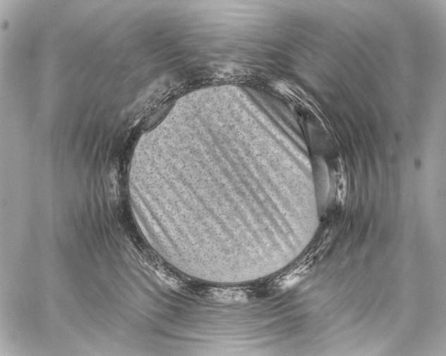 X0000059090520200511041851