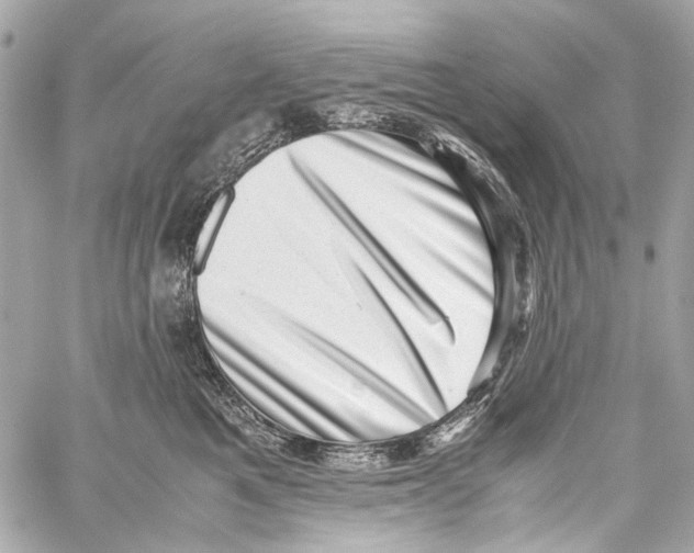 X0000059090521200511041851