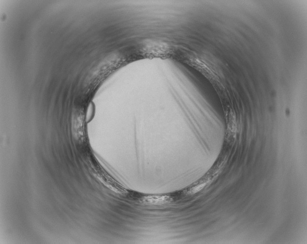 X0000059090526200511041850