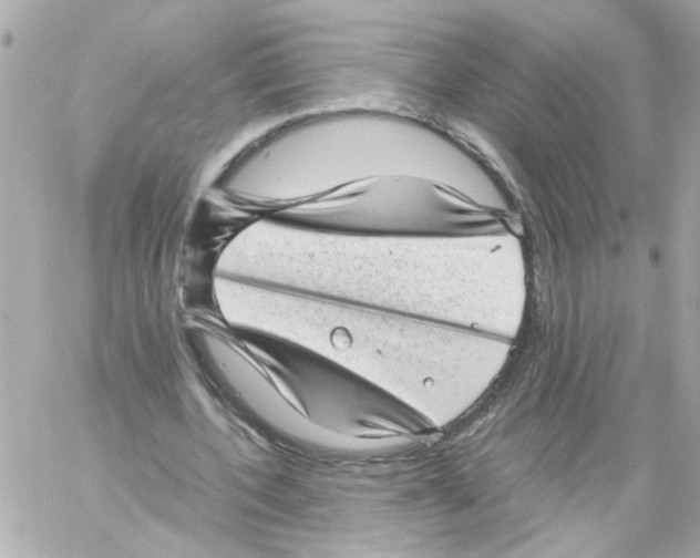 X0000059090532200511041850