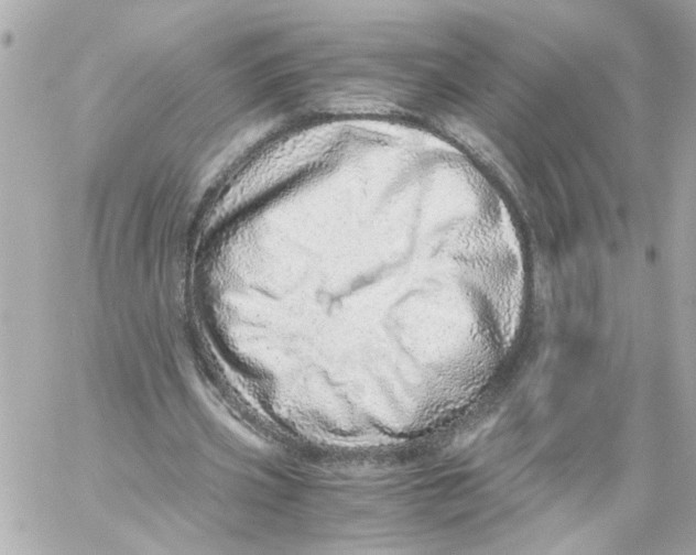 X0000059090533200511041850
