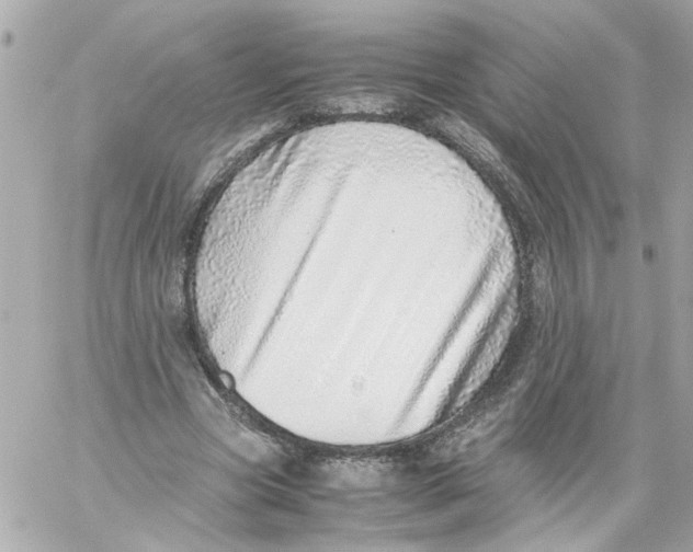 X0000059090537200511041850