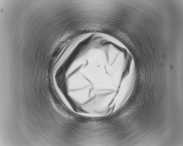 X0000059090538200511041850