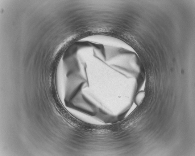 X0000059090539200511041850