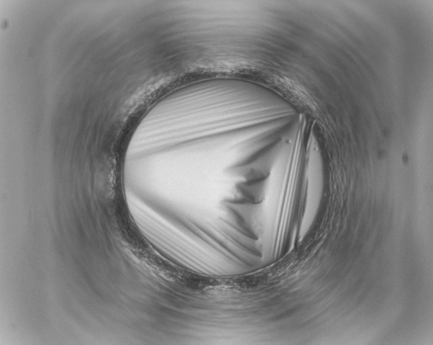 X0000059090544200511041850