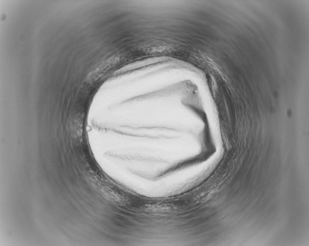 X0000059090545200511041850